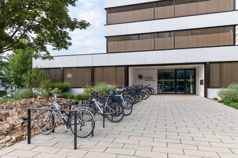 20140716_171704_IMG_3817 als Smartobjekt-1